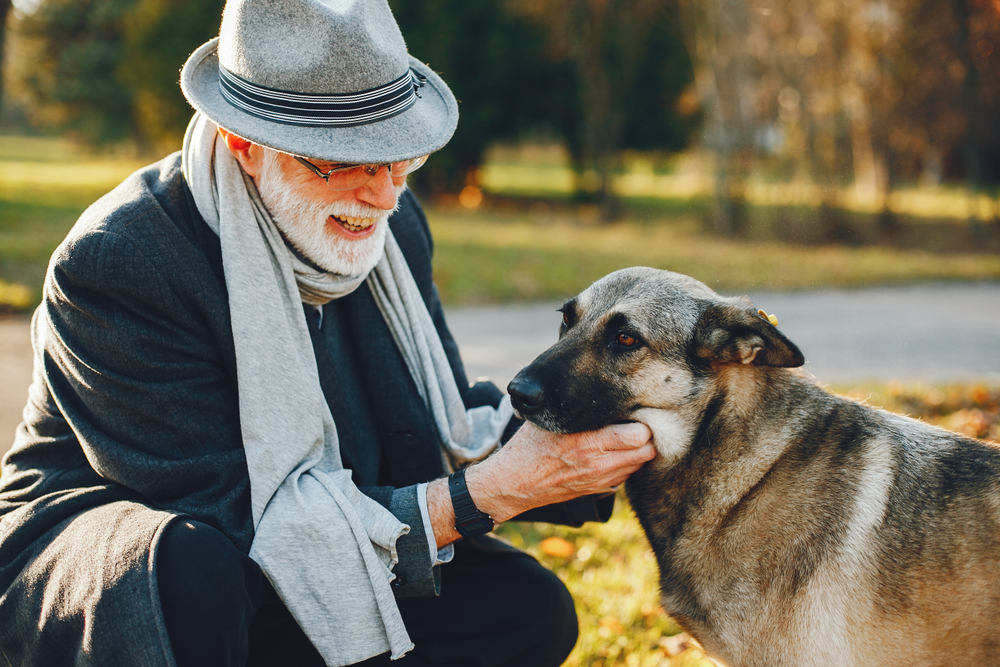 A senior man kneels down to pet a dog