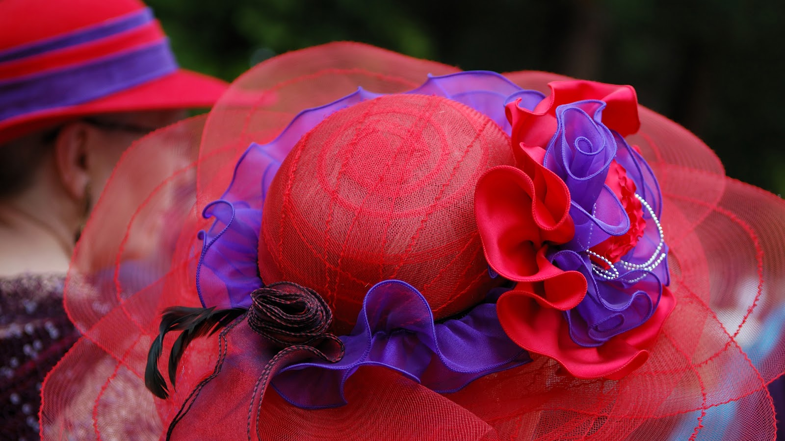 Close-up of a fancy red and purple hat